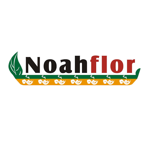 Noah Flor Novel M&M Technology Co.Limited
